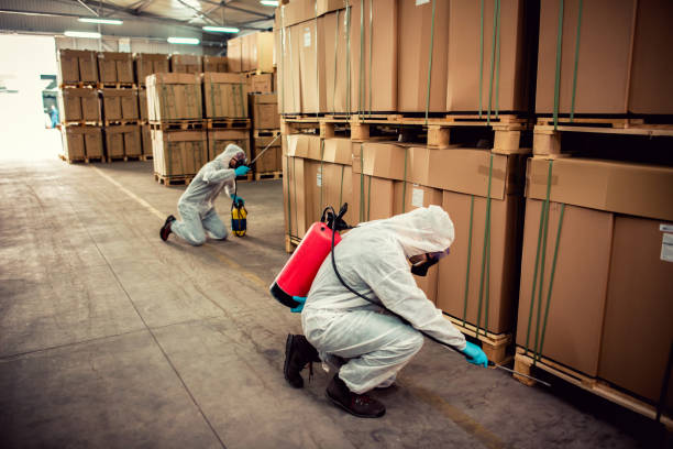 Best Pest Removal Services  in Lone Grove, OK