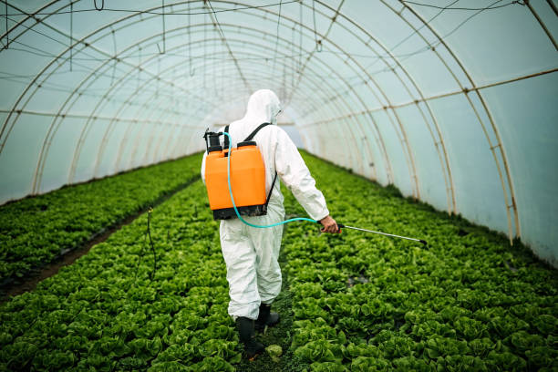 Best Affordable Pest Control Services  in Lone Grove, OK