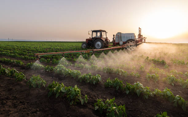 Best Commercial Pest Control Services  in Lone Grove, OK