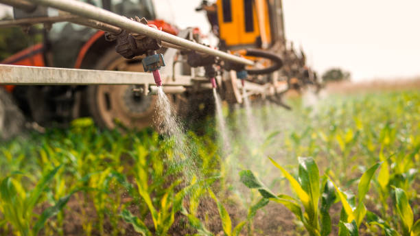 Best Mosquito Control Services  in Lone Grove, OK